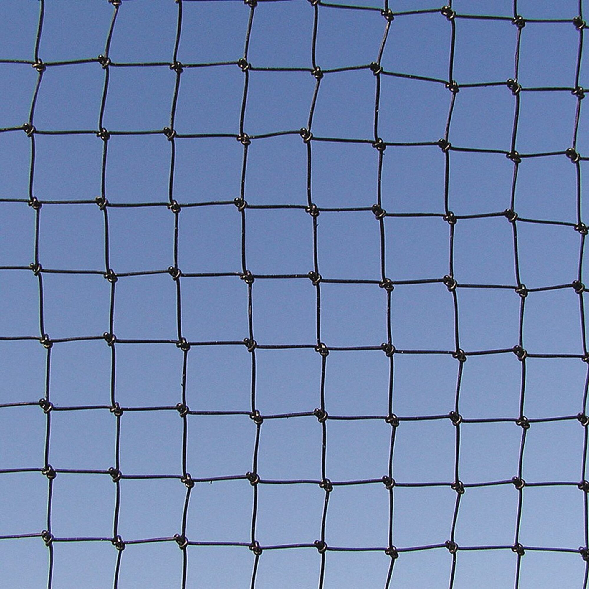Bird Barrier
