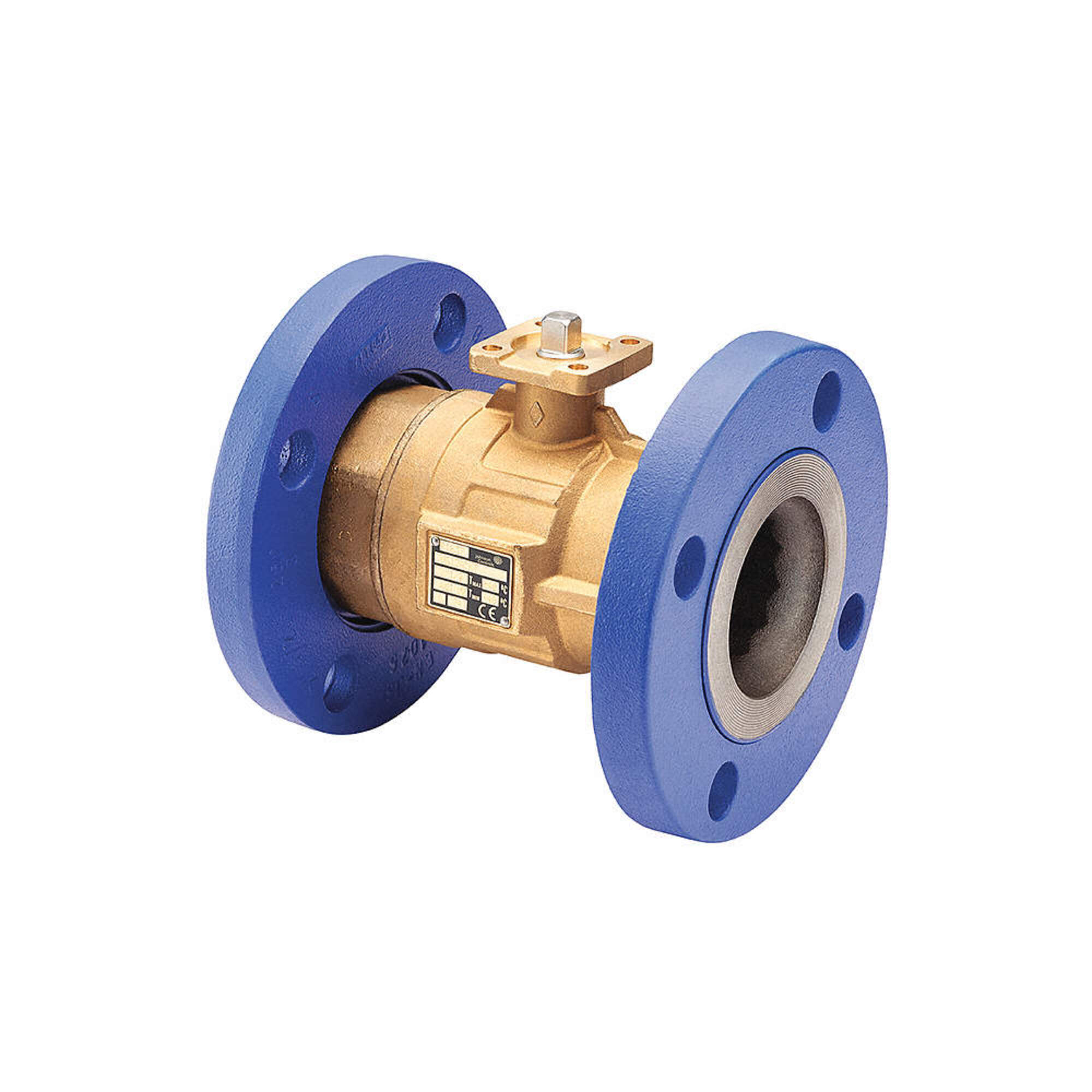 Johnson Controls