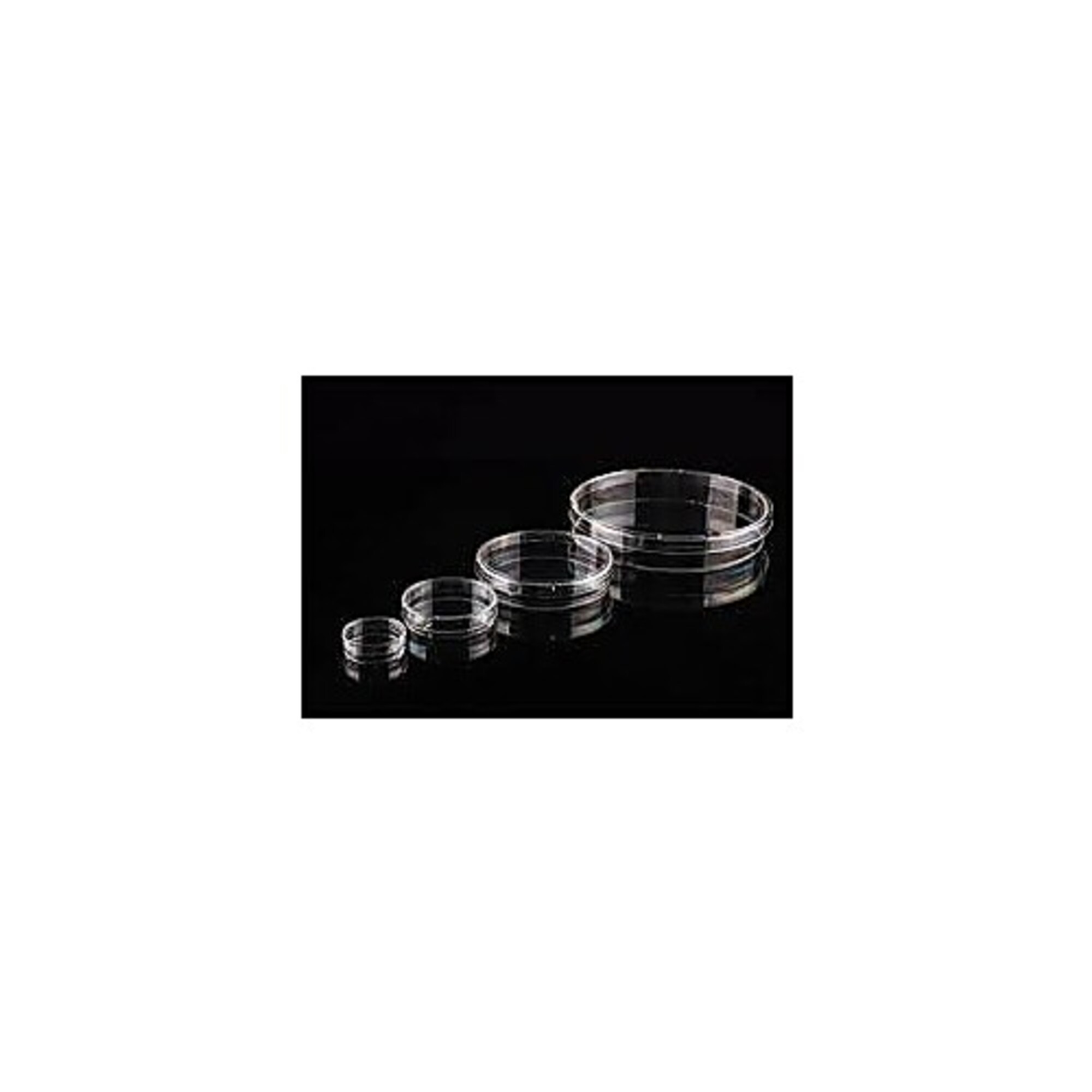 Bellco Glass
