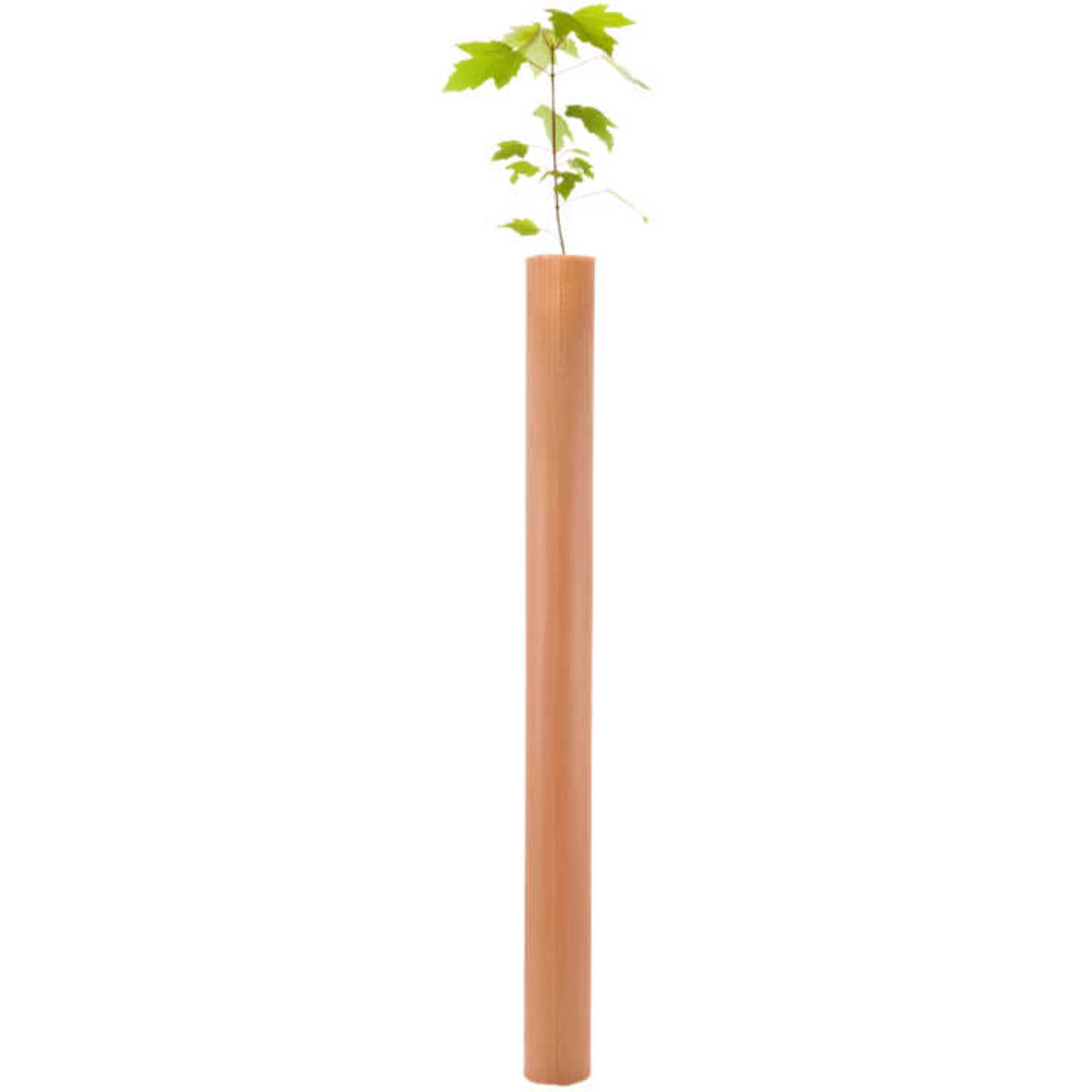 Tubex