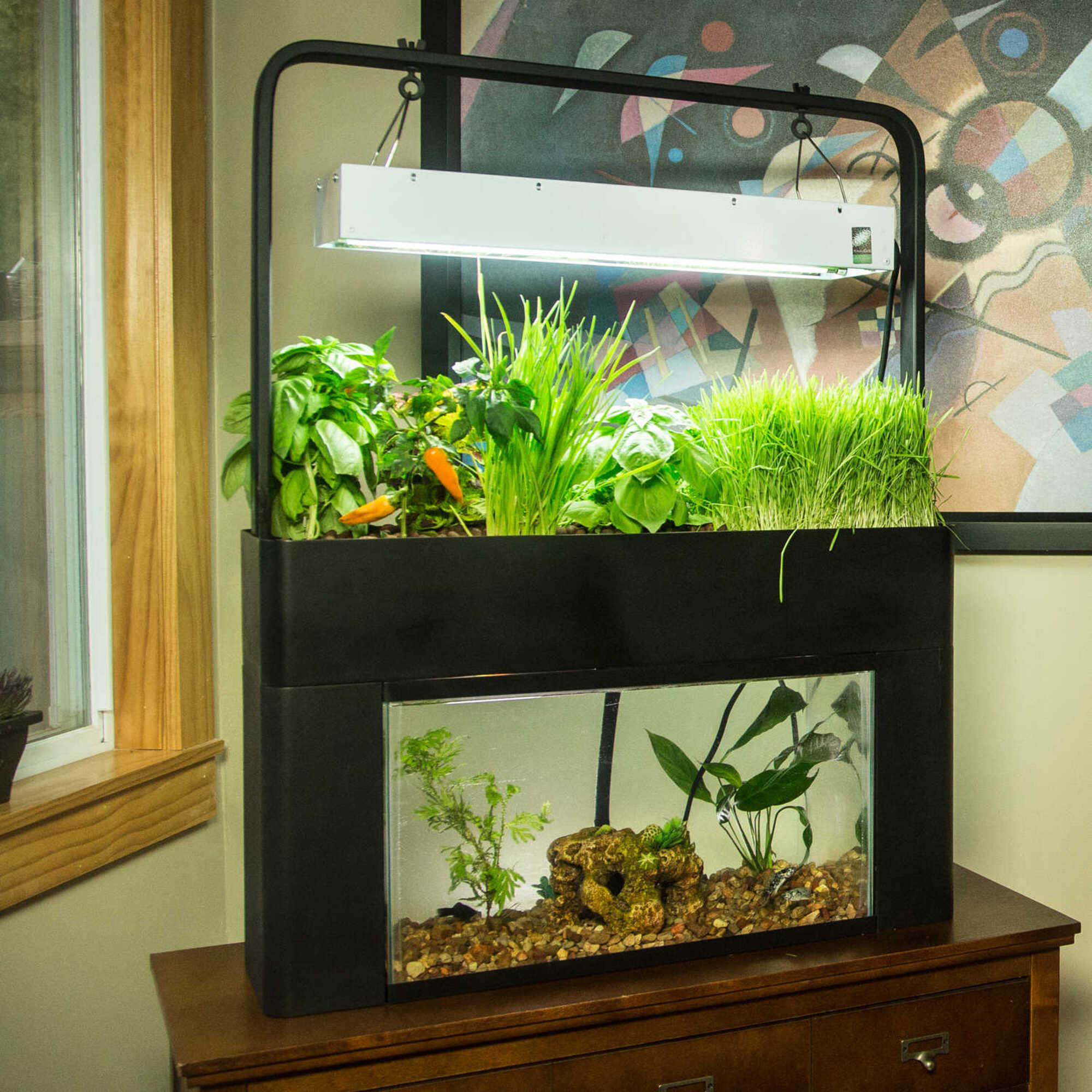 Aquasprouts