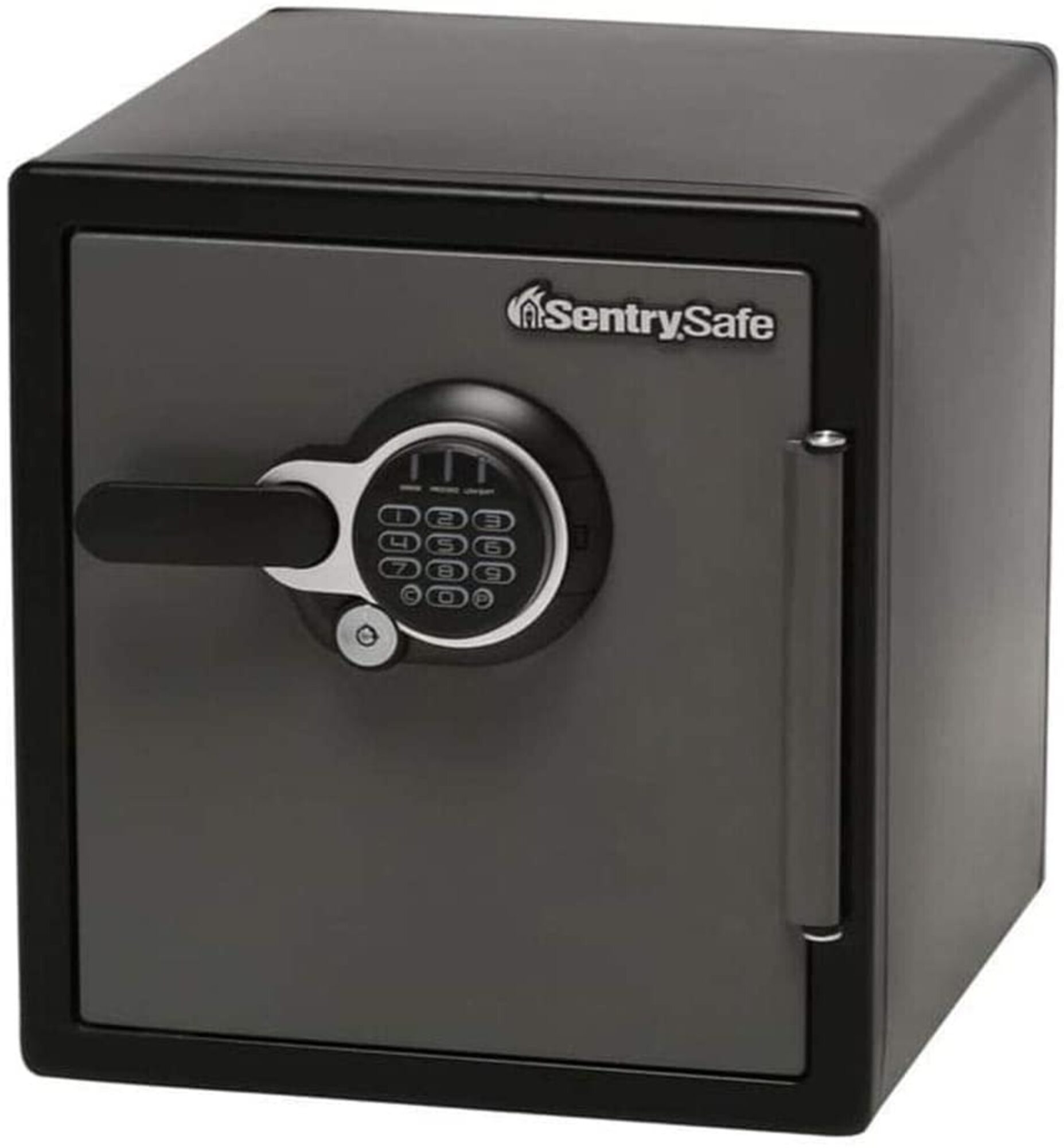 SentrySafe - SFW123GTC - Digital Fire/Water Safe Electronic Lock, 16-3/ ...