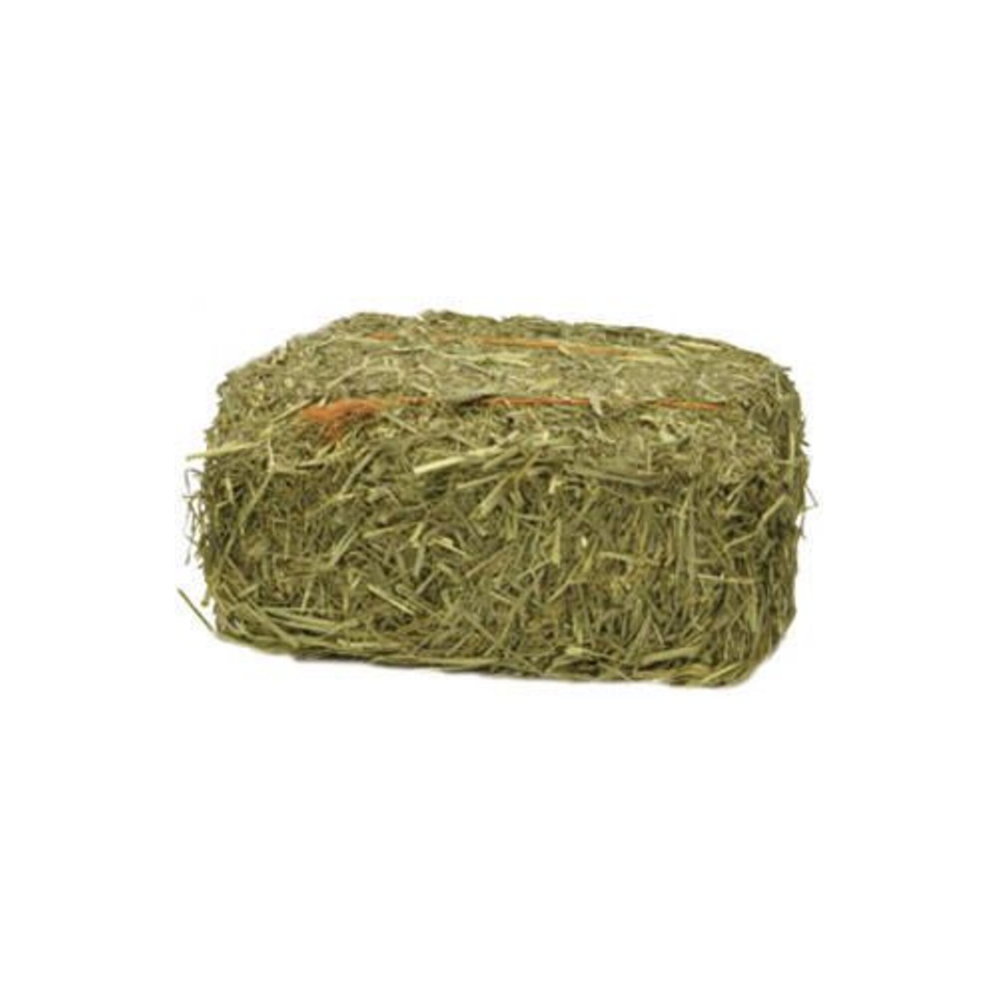 Star Rattin Bio-Serv - S1013 - TIMOTHY HAY MINI BALES (Each) | Enrichment Products ...