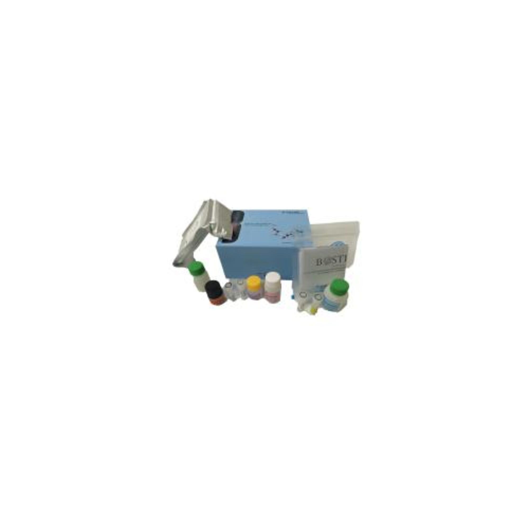 Boster Bio