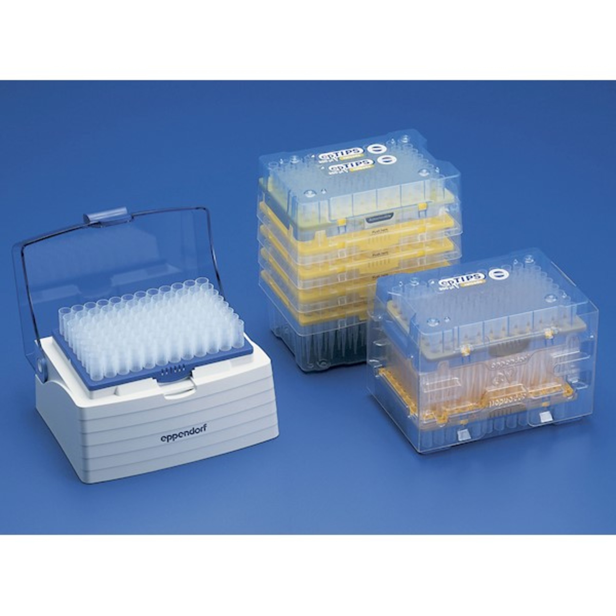 Eppendorf