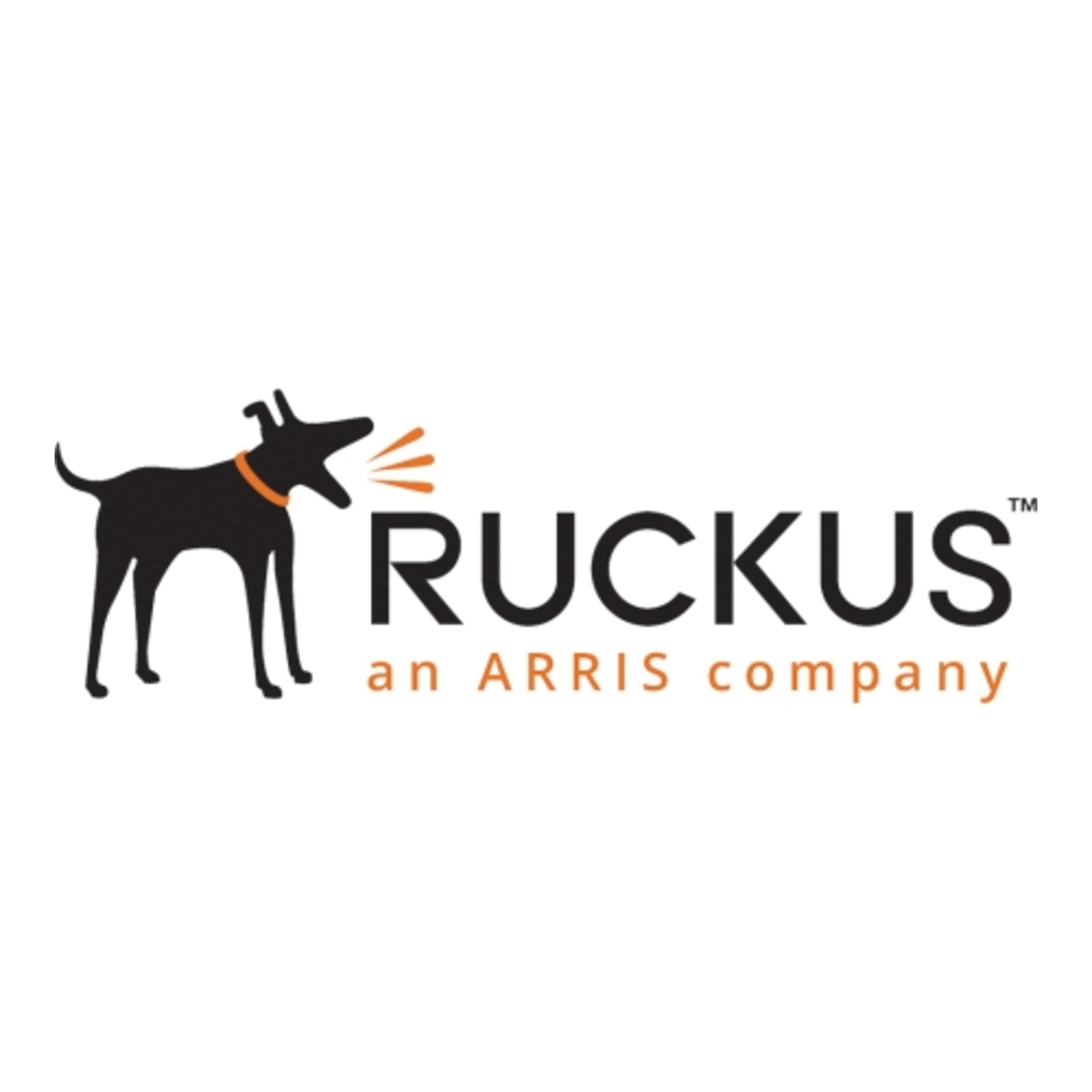 Ruckus Wireless - L09-0001-SG00 - Ruckus Wireless Upgrade License ...
